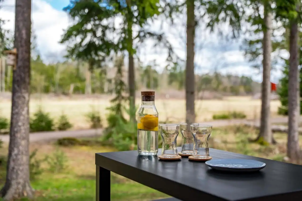 Private patio with forest view at Uppsala House